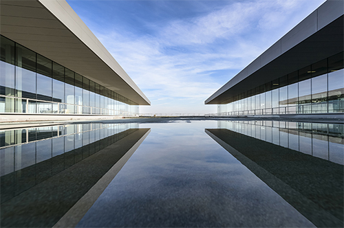 学校正式回应图书馆播放《一路生花》:旨在营造温馨学习氛围