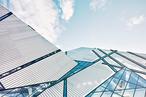 学校正式回应图书馆播放《一路生花》:旨在营造温馨学习氛围