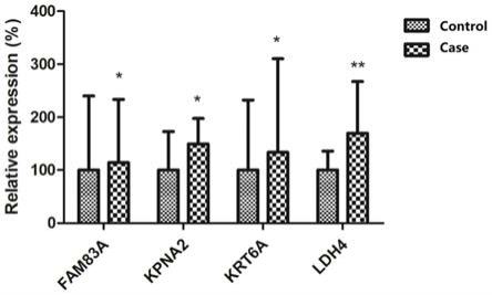 FAM83A、KPNA2、KRT6A和LDHA联合作为肺腺癌生物标志物的用途的制作方法