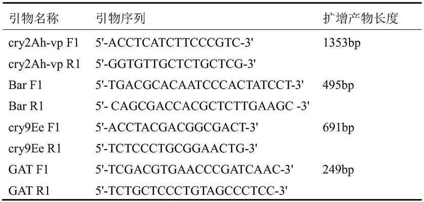 杀虫基因cry2Ah-vp和cry9Ee组合在抗虫植物中的应用的制作方法