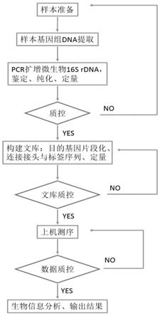 通过测序获取微生物物种及相关信息的方法、装置、计算机可读存储介质和电子设备与流程