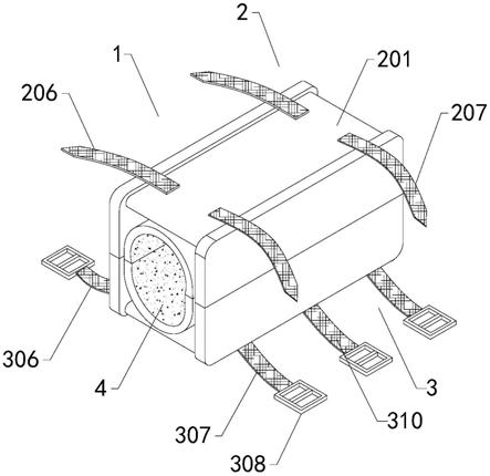 一种畜牧兽医用动物打针固定装置的制作方法