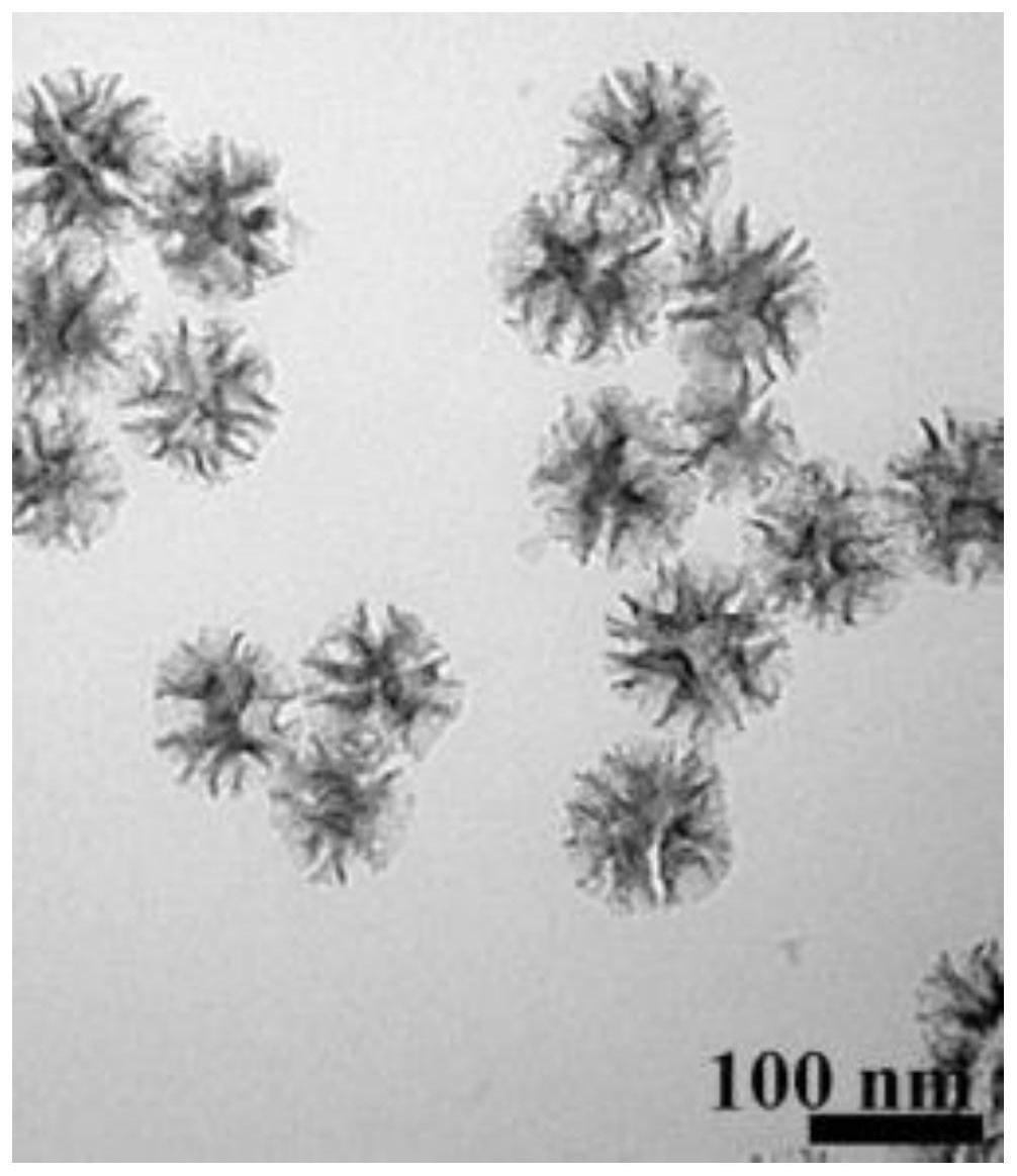 二氧化硅纳米粒子，其制备方法、用途，复合物及其用途与流程