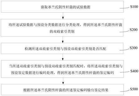 革兰氏阴性杆菌的鉴定方法、试剂盒、计算机设备以及存储介质与流程