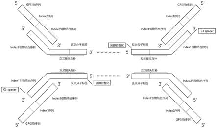 一种试剂盒及其制备测序用靶核苷酸的方法与流程