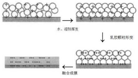 一种环保型水性结构粘结材料及其制备方法与流程