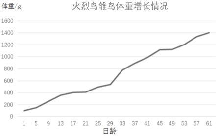 一种火烈鸟幼雏配合饲料及育雏方法与流程