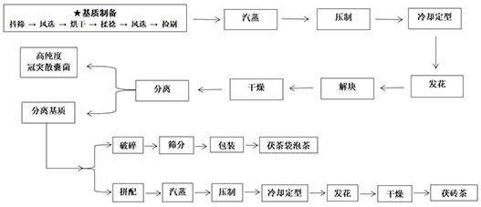 高纯度冠突散囊菌的制备方法及其在茯茶制备中的应用以及冠突散囊菌产品与流程