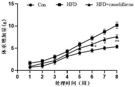 酪黄肠球菌在制备治疗代谢综合征产品中的应用方法与流程