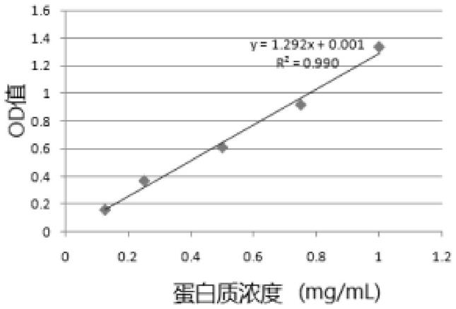 一种结直肠癌细胞外泌体及其分离提取方法与应用与流程