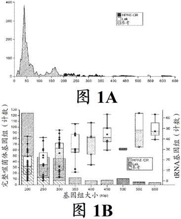 CRISPR-Cas效应子多肽及其使用方法与流程