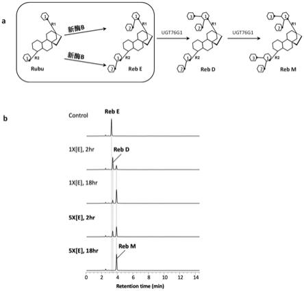 糖基转移酶OsUGT91C1突变体及其应用的制作方法