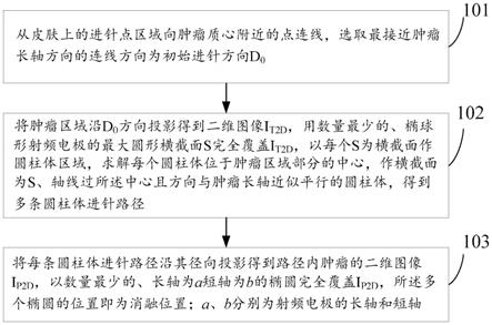 一种射频电极进针路径和消融位置的规划方法及装置与流程