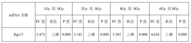 Rgs12作为γ射线辐射生物标志物的应用的制作方法