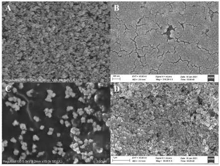 一种多量子点敏化TiO2的光电活性材料制备方法与流程