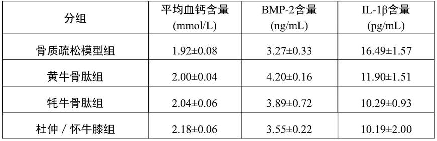 一种牛骨肽组合物及其在制备调节肠道菌群及防治骨质疏松药物中的应用的制作方法