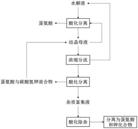 基于二氧化碳酸化法的蛋氨酸优化制备方法与流程