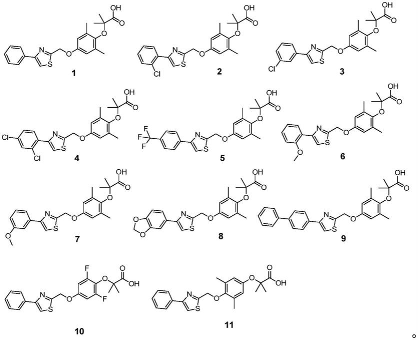一类2，4-二取代噻唑结构的PPARα/δ双重激动剂及其应用的制作方法
