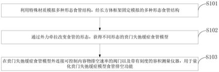 一种贲门失弛缓症食管模型模拟系统、模拟方法、检查设备与流程