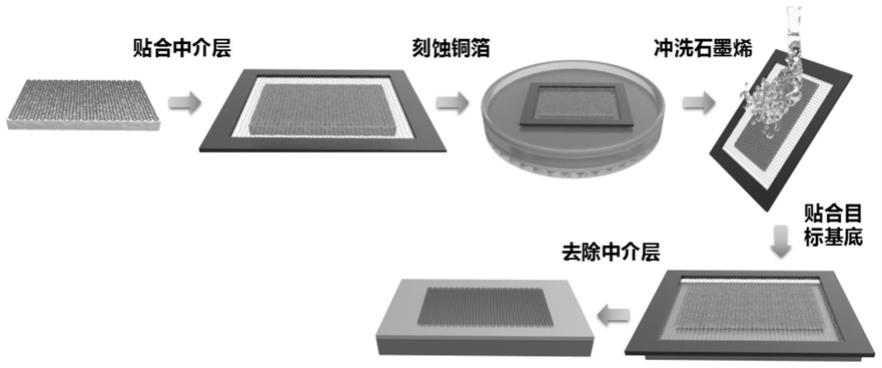 一种支撑骨架/粘性剂复合结构辅助转移石墨烯方法与流程