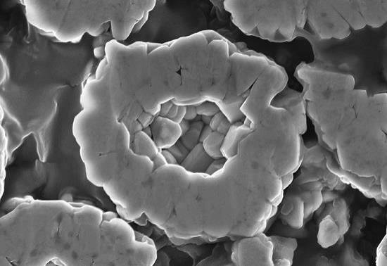 一种壳核壳结构的镍钴锰铝酸锂正极材料及其制备方法与流程