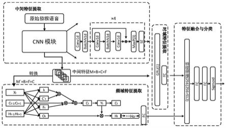 一种基于时-频双分支特征的猕猴情绪识别方法及系统与流程