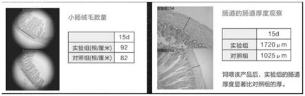 一种促进幼龄动物肠道结构生长发育添加剂的制备方法与流程