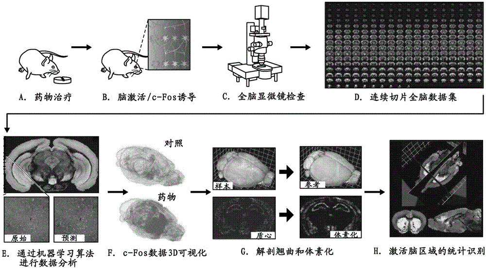 用于治疗精神障碍的加波沙朵和锂的组合物的制作方法