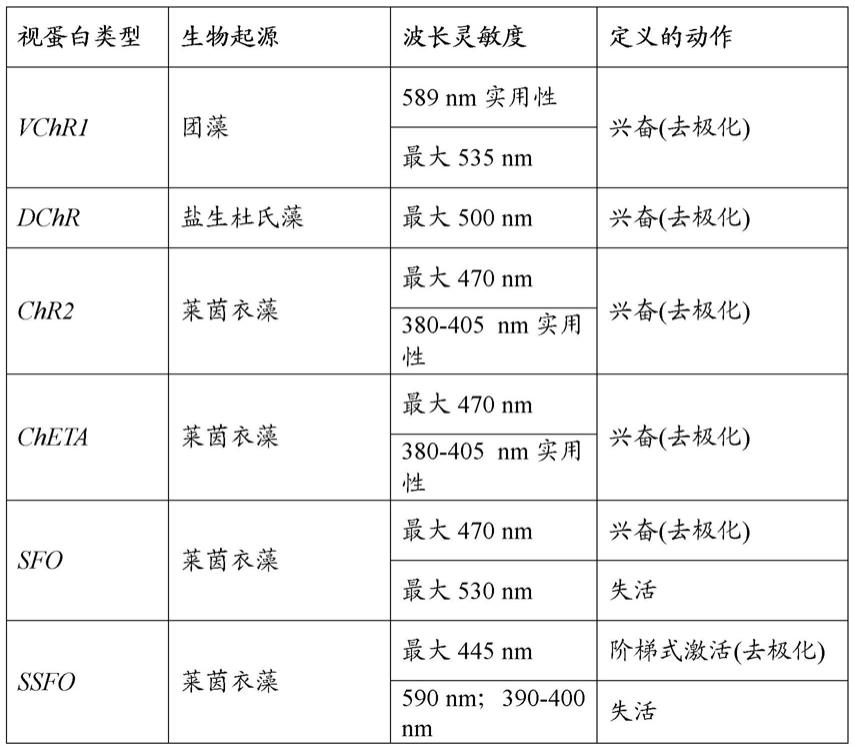 光敏神经组织的组合光和电刺激的制作方法