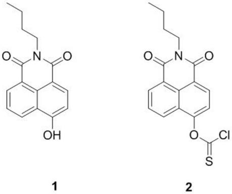 一种半胱氨酸响应的硫化氢荧光供体、制备及其应用的制作方法