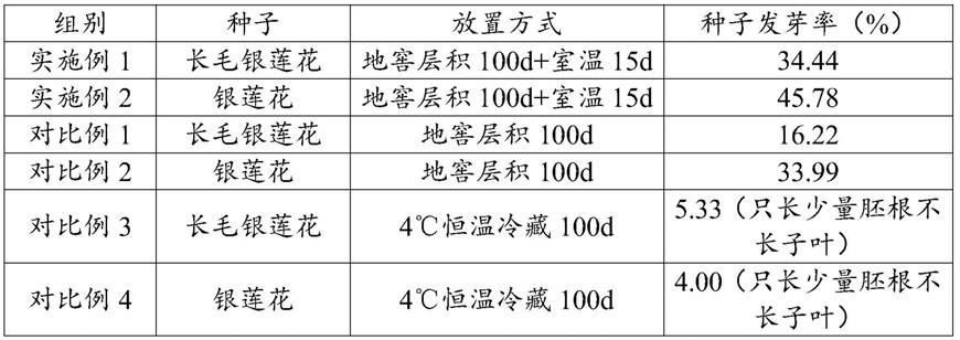 一种打破野生银莲花种子休眠的方法与流程