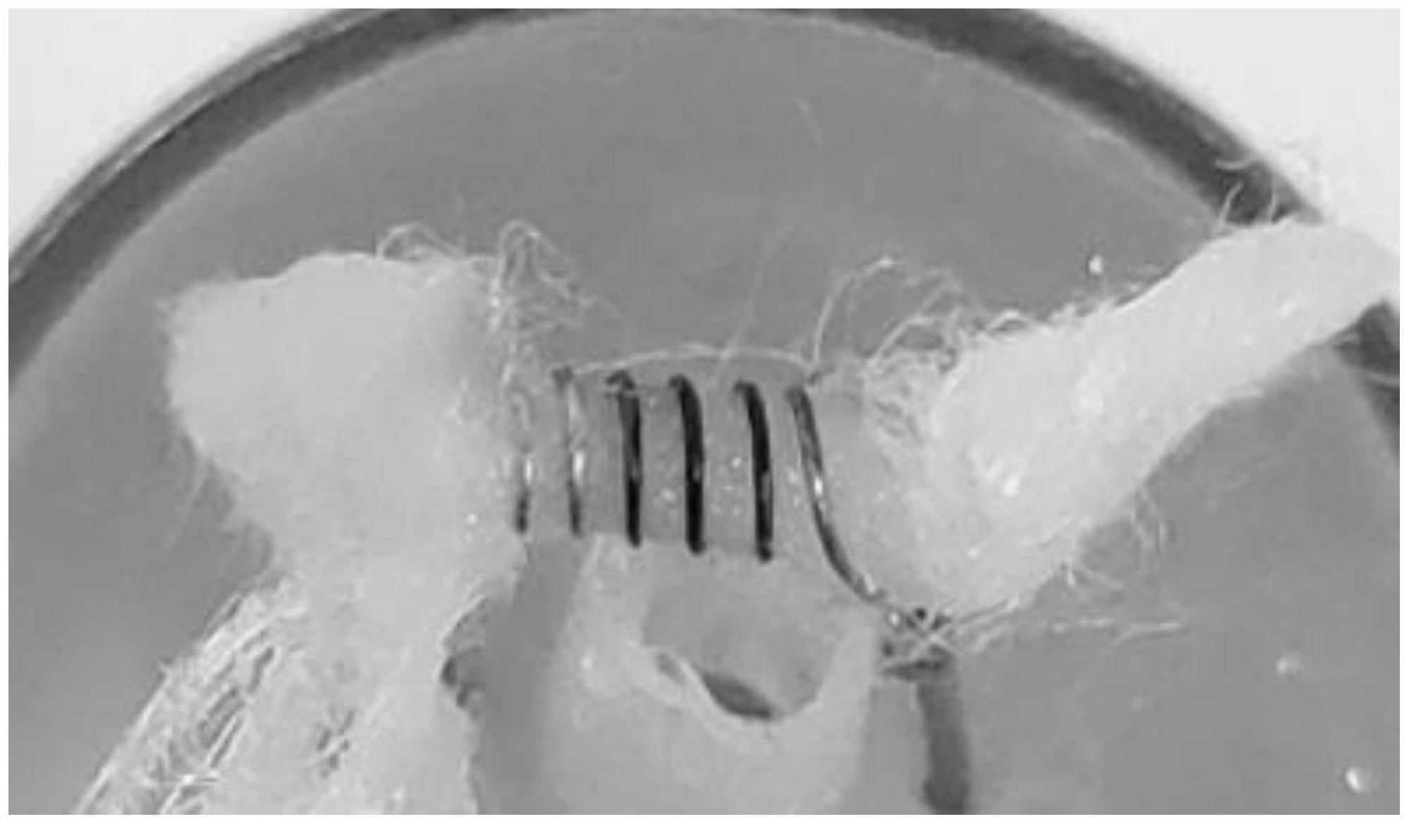 适合多口数抽吸电子烟雾化液用甜味剂及电子烟雾化液的制作方法