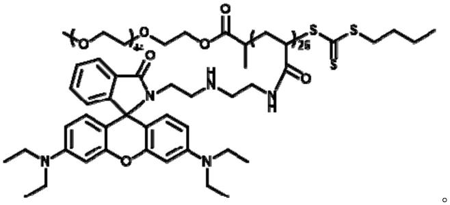 新型dsRNA聚合物纳米载体的制备方法及其制备的纳米载体和应用与流程