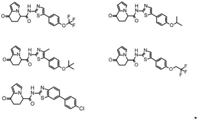 使用了二氢吲嗪酮衍生物的胰岛素生产细胞的制作法的制作方法