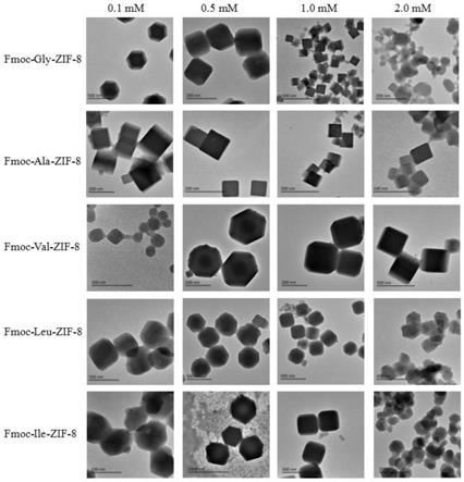 Fmoc-氨基酸-ZIF-8纳米材料、其制备方法及应用与流程