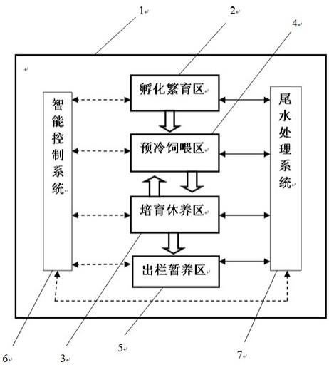 一种两栖类变温动物的养殖技术及工厂化培育系统的制作方法