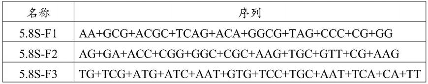 一种SmallRNA文库的制备方法与流程