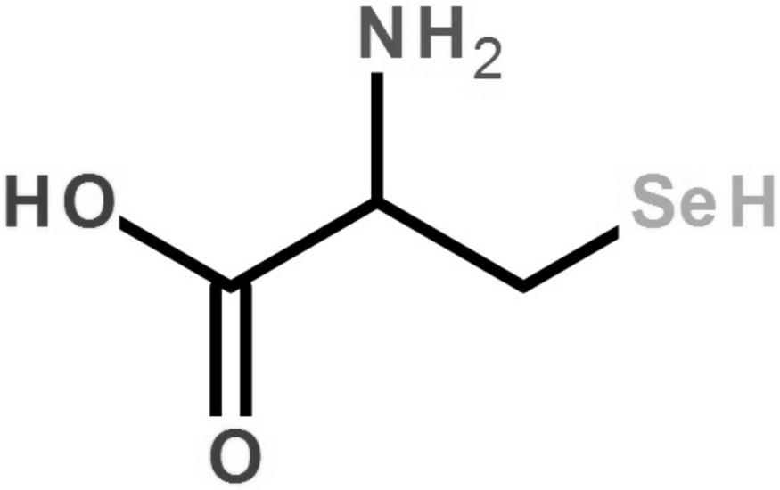 一种用于补充人体有机硒的饮用水溶液的制作方法