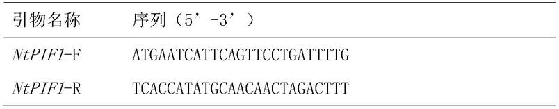 烟草NtPIF1基因及其编码蛋白和应用的制作方法