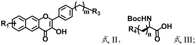 一种纳米荧光材料、纳米荧光探针及其制备方法和应用与流程