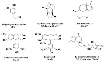 一种具有微弱抗氧化活性的金钗石斛次代谢产物的制作方法