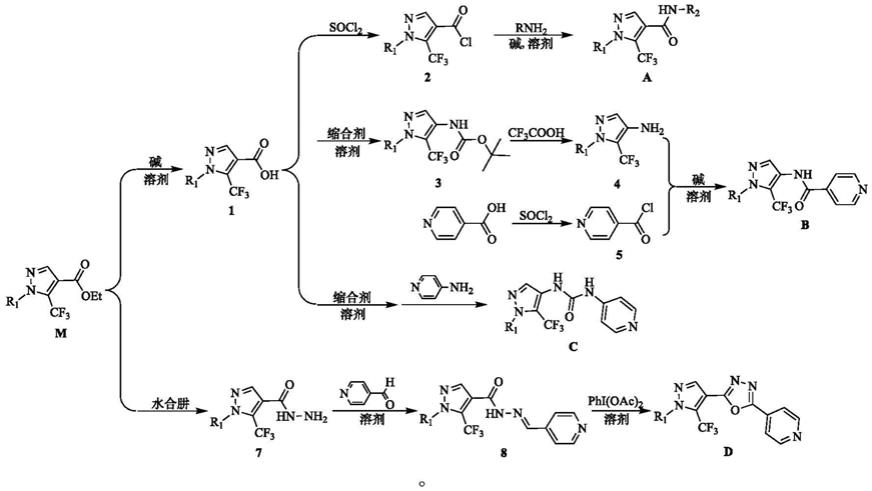 一类5-三氟甲基-4-吡唑衍生物的制备方法及其在抑制肿瘤细胞上的应用与流程