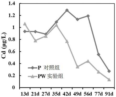 一种污染土壤和地下水一体化修复与风险管控方法与流程