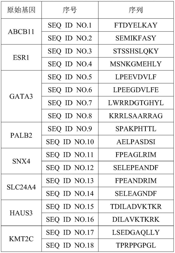 一种与乳腺癌驱动基因突变相关的抗原肽组合及其应用的制作方法