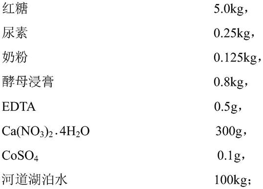 用于河道湖泊生物修复土著微生物的定向扩增方法及应用与流程