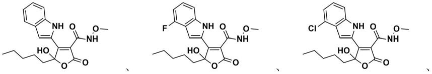 具有5-羟基呋喃-2(5H)-酮骨架的化合物及其制备方法与流程