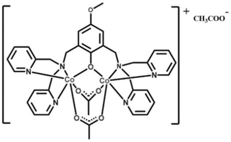 双核钴配合物及其制备方法和应用与流程