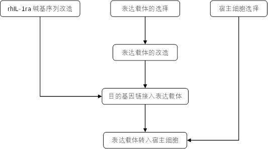 一种用于生产重组人IL-1ra的工程菌株及制备方法和应用与流程