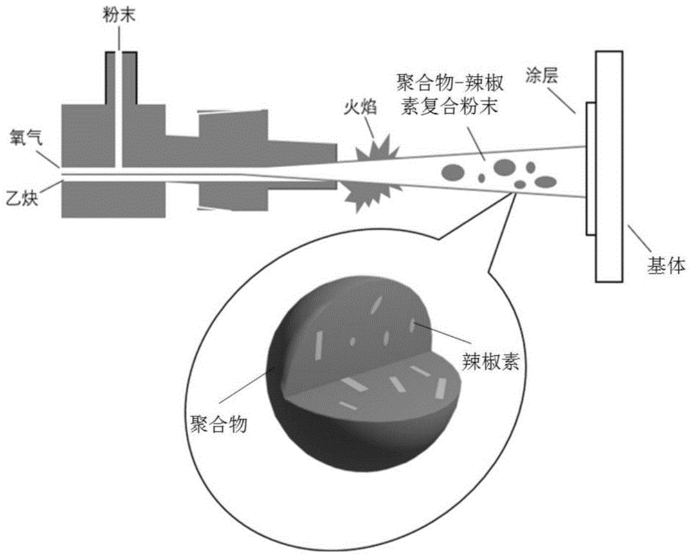 一种基于热喷涂技术的聚合物基防污涂层、制备方法及其应用与流程