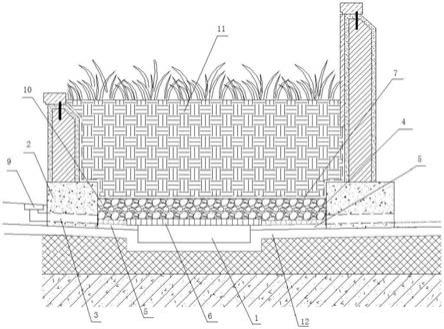 一种隐蔽式生态屋顶排水系统的制作方法